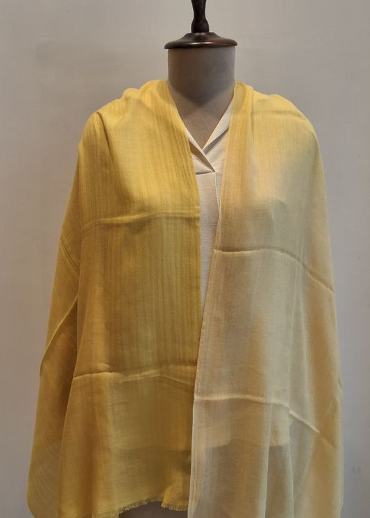 Yellow Shaded Cashmersilk Stole